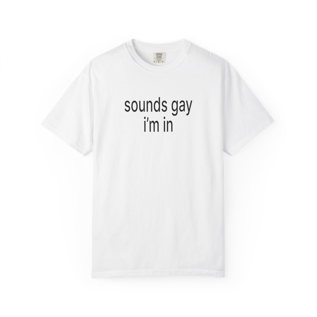 Sounds Gay I'm In - t-shirt